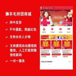 薅羊毛拼团商城小程序源码v2.8.6+前端-暗冰资源网