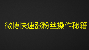 微博快速涨粉丝操作秘籍-暗冰资源网