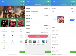 王者荣耀装逼神器助手小程序源码_支持多种流量主模式-暗冰资源网