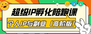 超级IP孵化课程:教你打造个人IP做好副业(高阶版)41节课-暗冰资源网