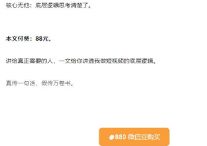 抖音神秘牛人:我做抖音这件事(3)3000字长文(付费文章)-欢迎光临本站