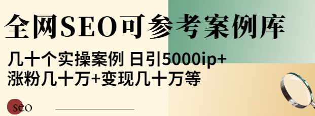 图片[1]-优秀网站SEO实操案例, 日引5000ip+涨粉百W+变现几十W-暗冰资源网