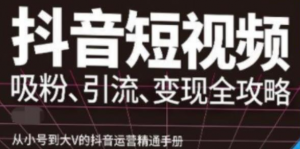 抖音视频号高级实操课程:从小号到大V的抖音运营精通手册(吸粉、引流、变现全攻略)-欢迎光临本站