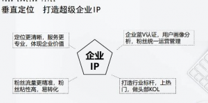 短视频带货合集详细教程(外边卖3980元)-欢迎光临本站