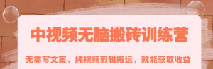 中视频搬砖玩法:纯视频剪辑搬运,无需写文案就能获取收益!-欢迎光临本站