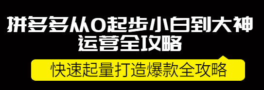 图片[1]-拼多多开店怎么运营：拼多多小白到大神运营全攻略，快速起量打造10W+爆款-暗冰资源网