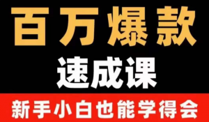 自媒体爆款指南:用数据思维做爆款,小白也能从0-1打造百万播放视频-欢迎光临本站
