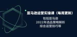 亚马逊运营实操课：亚马逊最新选品策略解析，综合运营技巧等-暗冰资源网