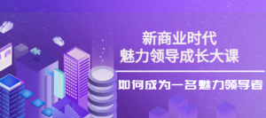 魅力领导成长大课：如何成为一名魅力老板（26节课时）-暗冰资源网