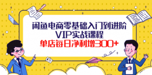 闲鱼电商零基础入门VIP实战课程，单店每日净利增300+（37节课）-暗冰资源网