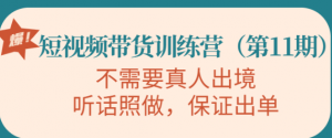 短视频带货训练课程:不需要真人出境,听话照做,保证出单-欢迎光临本站