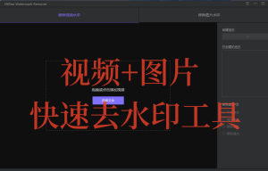 视频+图片去水印工具，快速高效！值得珍藏-暗冰资源网